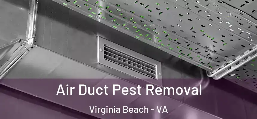Air Duct Pest Removal Virginia Beach - VA