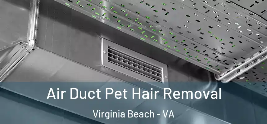 Air Duct Pet Hair Removal Virginia Beach - VA