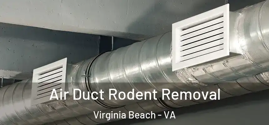 Air Duct Rodent Removal Virginia Beach - VA