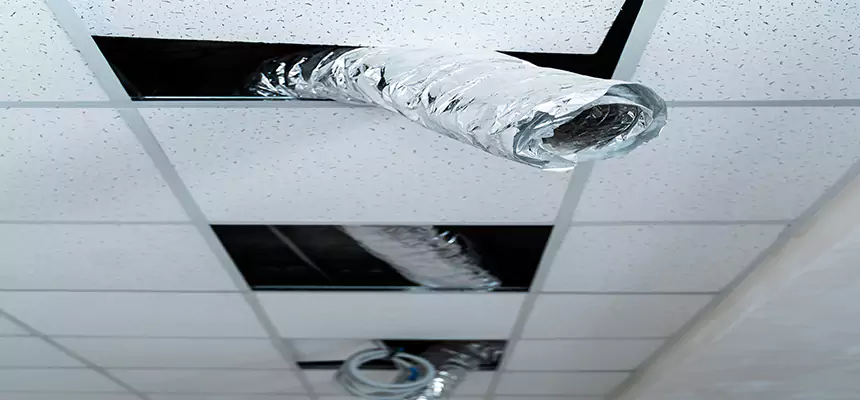 Our Air Duct Pet Hair Removal Services in Virginia Beach, VA