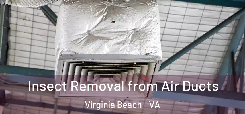 Insect Removal from Air Ducts Virginia Beach - VA
