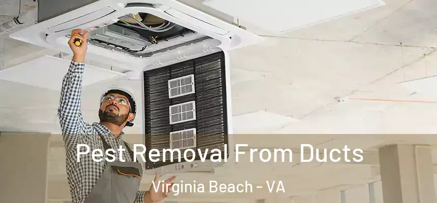 Pest Removal From Ducts Virginia Beach - VA
