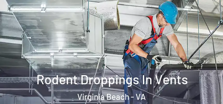 Rodent Droppings In Vents Virginia Beach - VA