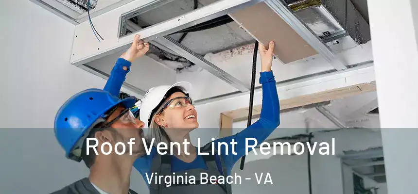 Roof Vent Lint Removal Virginia Beach - VA