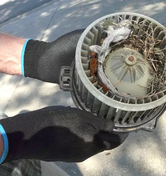 About Air Duct Mice Removal in Virginia Beach, VA