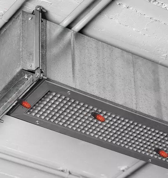 Affordable Insect Removal from Air Ducts in Virginia Beach, VA