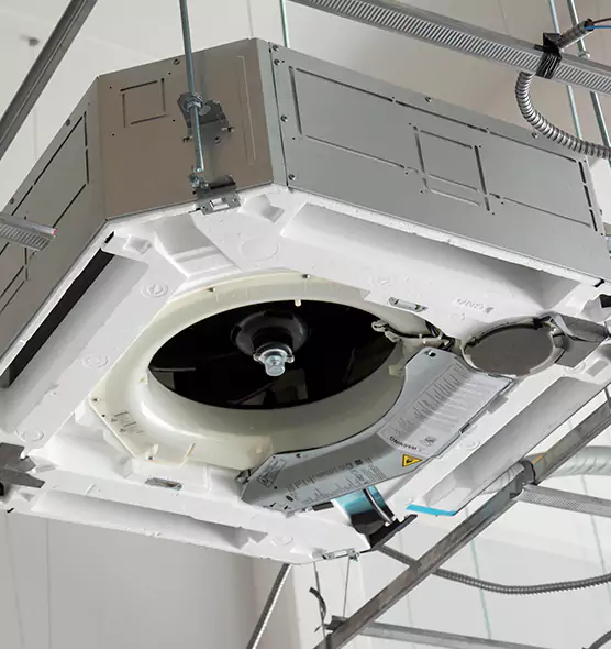 Professional Roof Vent Lint Removal Virginia Beach, VA