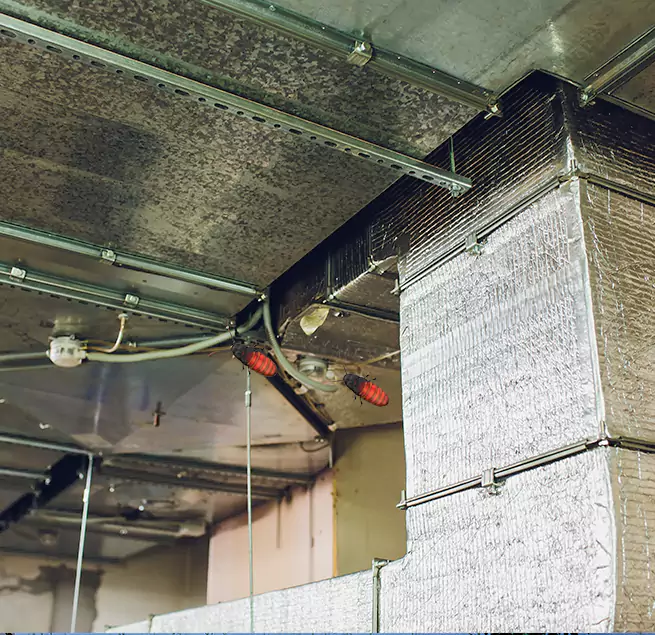 Why Homeowners & Businesses Trust Us in Virginia Beach, VA?