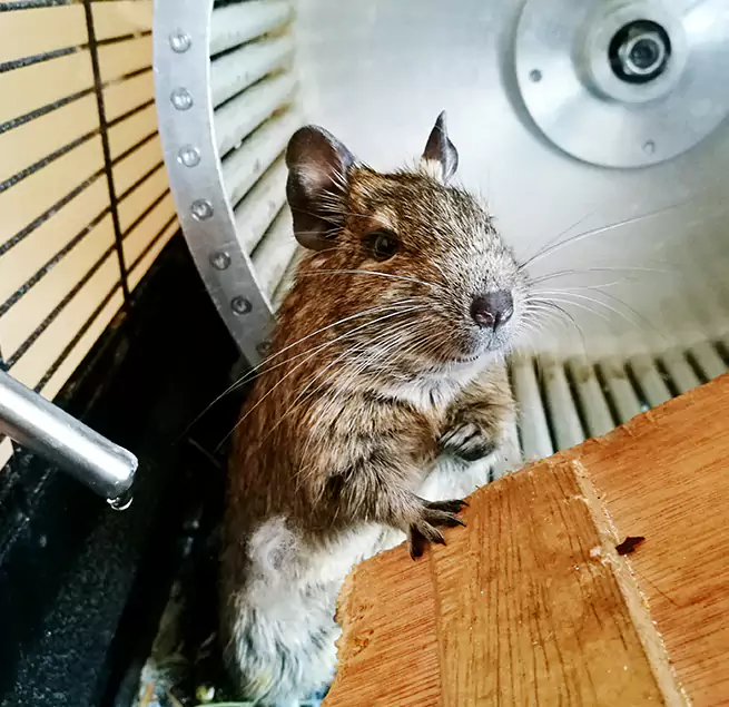 Why Homeowners & Businesses Trust Us Virginia Beach, VA?