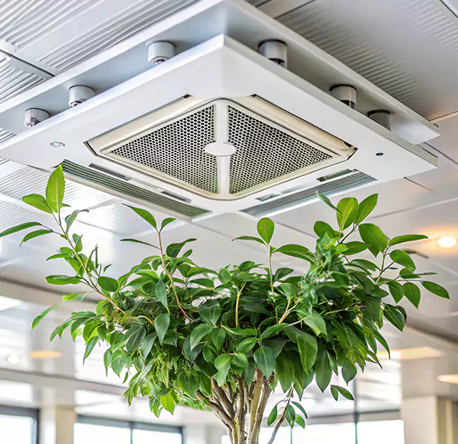 Why Homeowners & Businesses Trust Us in Virginia Beach, VA