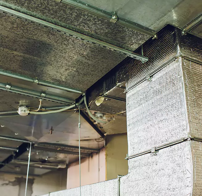 Why Homeowners & Businesses Trust Us in Virginia Beach, VA?