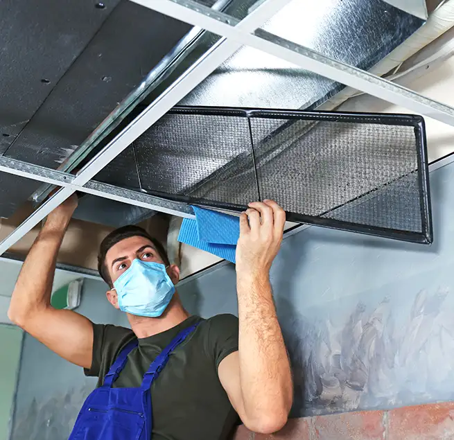 Why Homeowners & Businesses Trust Us in Virginia Beach, VA?