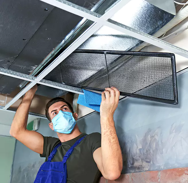 Why Homeowners Businesses Trust Us in Virginia Beach, VA?